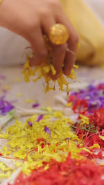 Load and play video in Gallery viewer, Onam Special Organza saree
