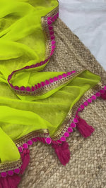 Load and play video in Gallery viewer, Denisha Georgette Parrot Saree | Shoppers Trend