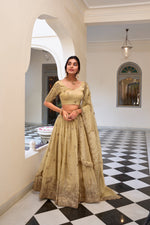 Load image into Gallery viewer, Gold Crush Golden Lehenga for Reception , Golden Bridal Lehenga with Dupatta , Golden Party Wear Lehenga Choli , Designer Gold Lehenga for Festive Wear , Embroidered Golden Lehenga Set . 
