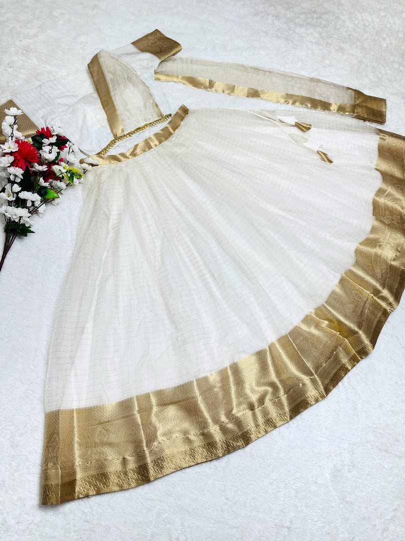 Fully Stitched Zari Organza Lehenga Set with Canvas, Zipper, and 4 Color Options. Sizes XS-XXL Available with 5m+ Flair and Full Liner. Original Zari Pattu Work on Dupatta.
