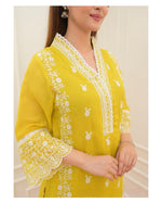 Load image into Gallery viewer, Rutvi Pure Organza Kurti  | Shoppers Trend
